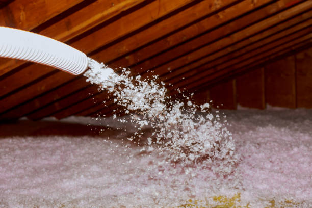 Best Insulation Maintenance and Repair in Haliimaile, HI