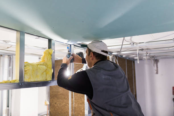 Types of Insulation We Offer in Haliimaile, HI